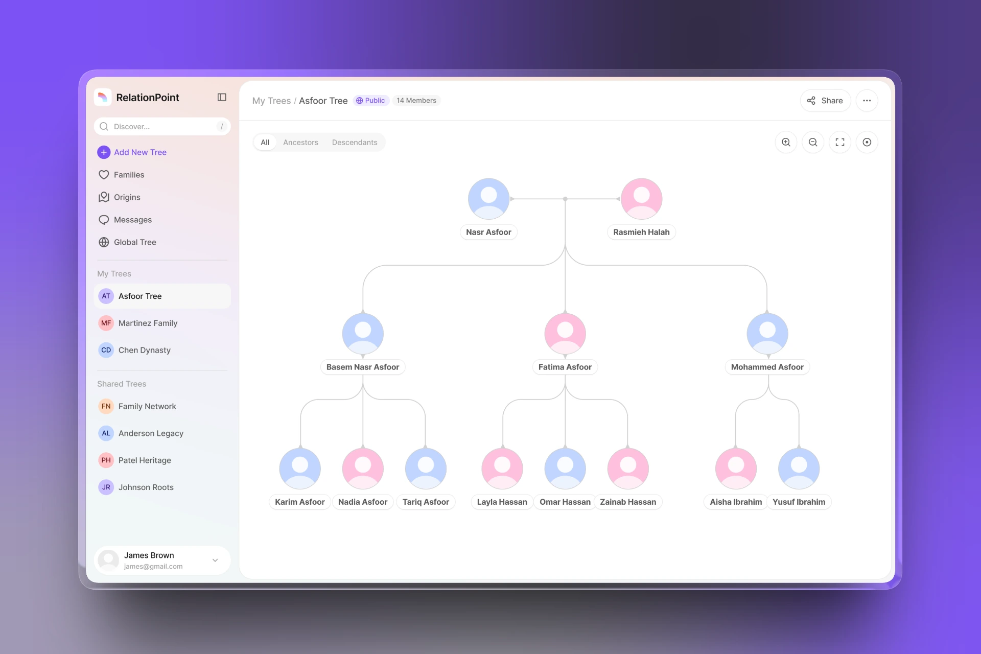 RelationPoint Genealogy Dashboard